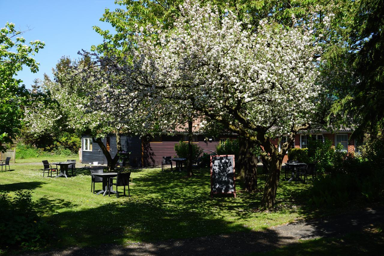 Lucy'S Inn Eesergroen Zewnętrze zdjęcie